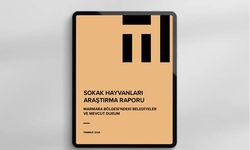 Sokak Hayvanları Araştırma Raporu hazırlandı.